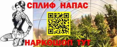 индика Севастополь
